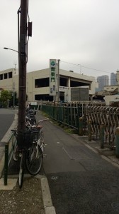 8-tsukiji-kudamono